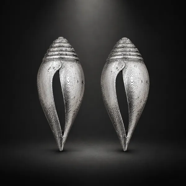 ANTIQUE_SILVER_CONCH_EARRINGS