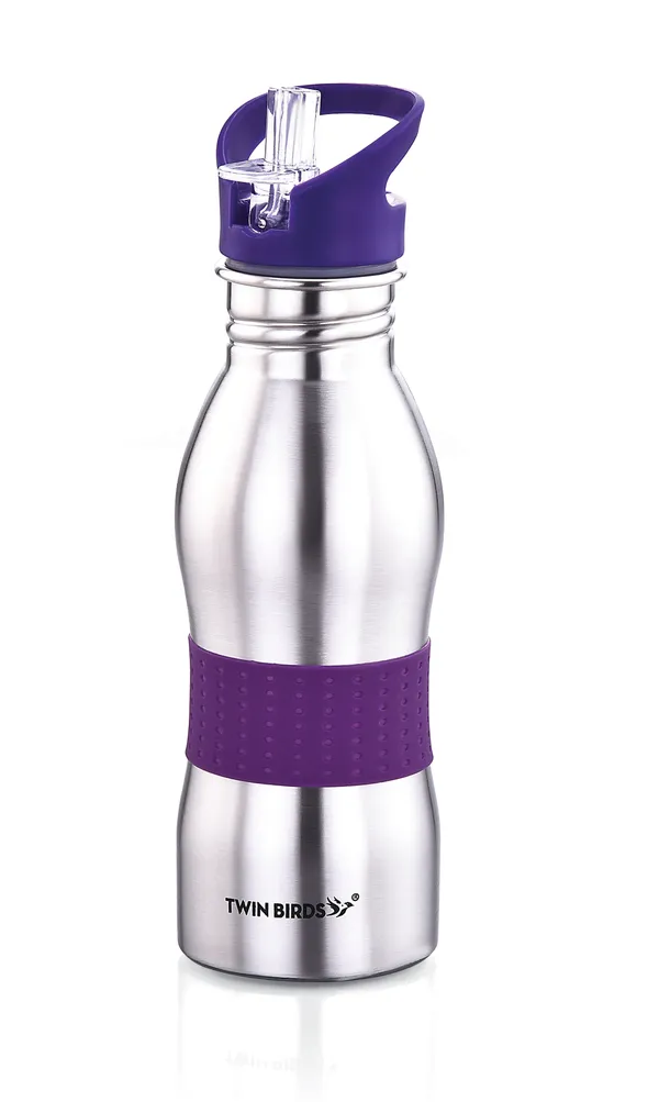 Silver_Stainless_Steel_Bottle_For_Home,_Office,_Gym,_Travelling_650_Ml_(_Pack_of_2_)