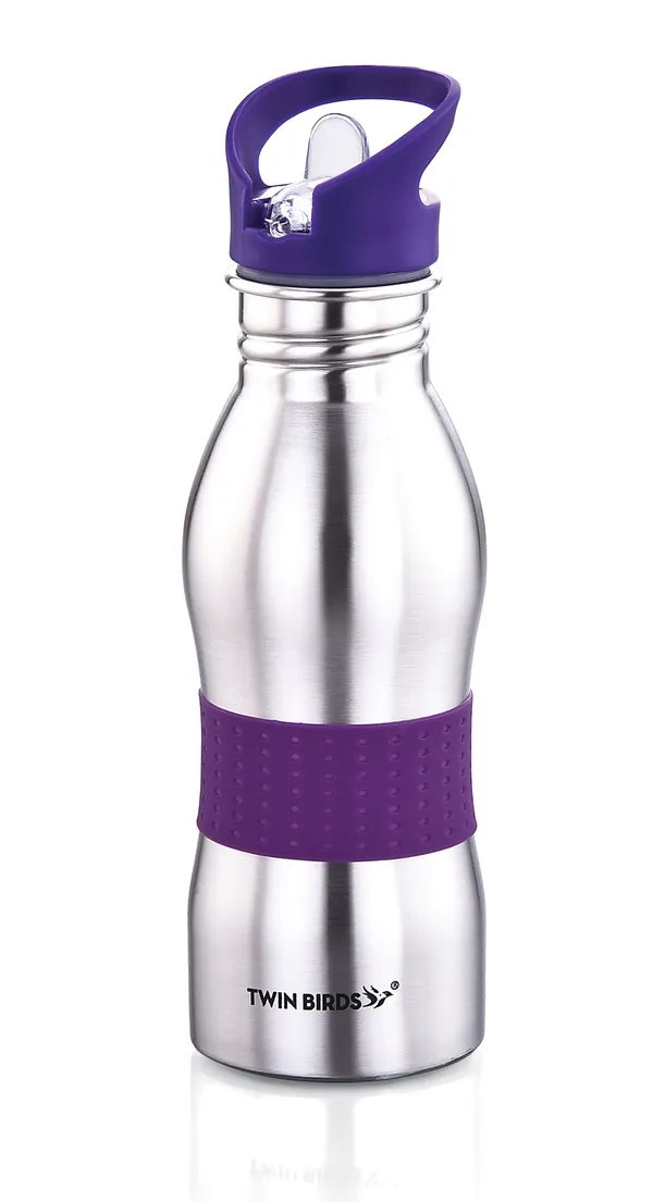 Silver_Stainless_Steel_Bottle_For_Home,_Office,_Gym,_Travelling_650_Ml_(_Pack_of_2_)