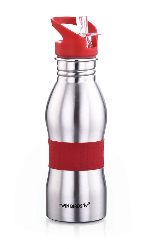 Silver_Stainless_Steel_Bottle_For_Home,_Office,_Gym,_Travelling_(_650_Ml_)