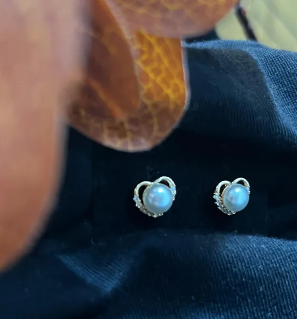 Silver_Plated_Fancy_Diamond_Earings_For_Women