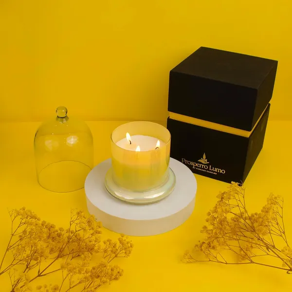 Multicolor_Candles_Scented_Cream_Bell_Jar_Candle_Fragrance_Candles_For_Home_Decor_Bell_Jar_Candles_100%_Soy_Wax_(Sandalwood)