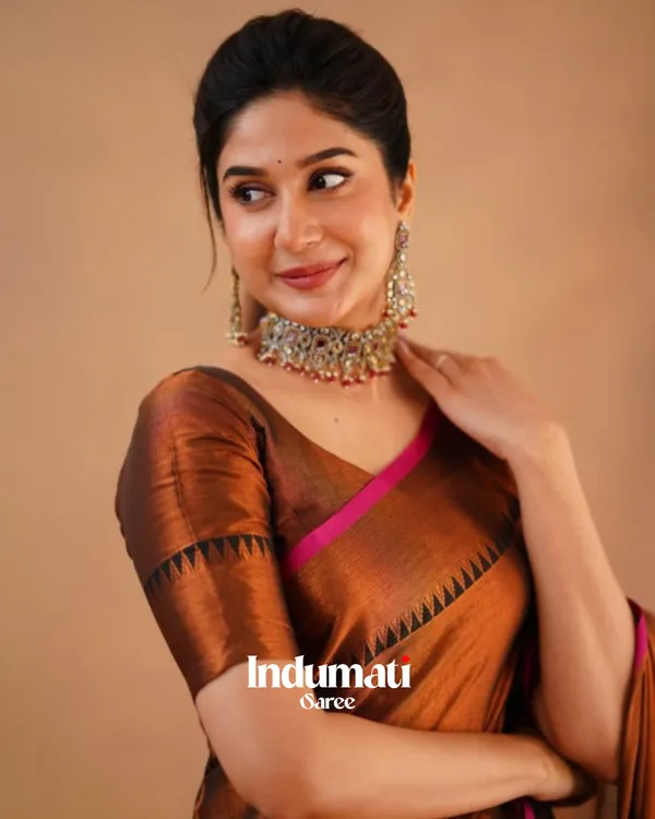 Brown_Tissue_Cotton_Saree_with_Black_Thread_Detailing_with_Matching_Blouse_Piece
