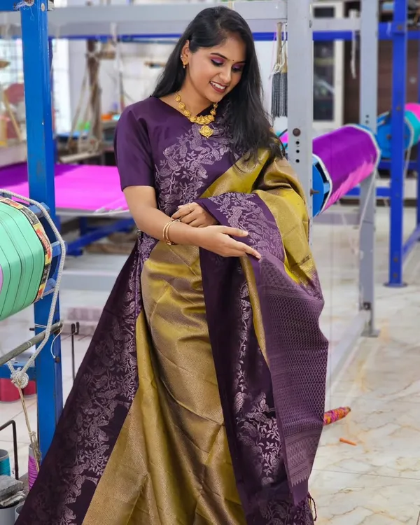 Brown_And_Purple_Color_Now_Available_Soft_Banarasi_Silk_Saree_with_Classy_Bloue_Piece