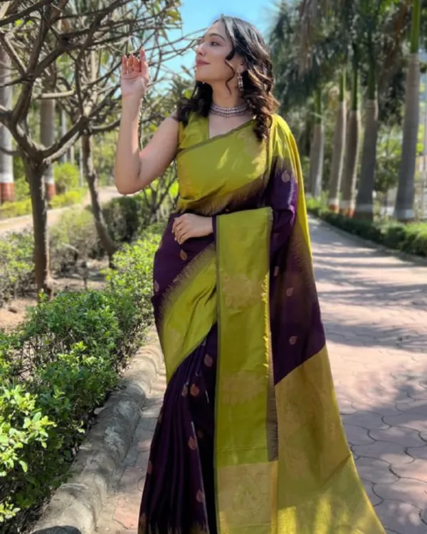 Parrot_Green_And_Purple_Color_Recently_Launched_Soft_Banarasi_Silk_Saree_with_Classy_Bloue_Piece