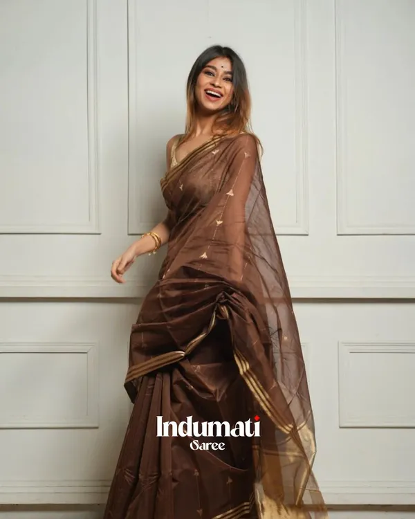Brown_Color_Just_In_Cotton_Silk_Saree_with_Classy_Bloue_Piece