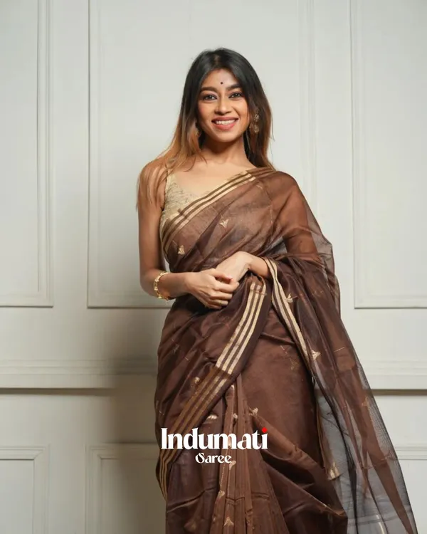 Brown_Color_Just_In_Cotton_Silk_Saree_with_Classy_Bloue_Piece