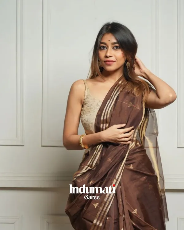 Brown_Color_Just_In_Cotton_Silk_Saree_with_Classy_Bloue_Piece