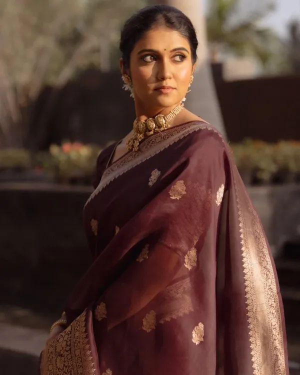 Brown_Color_Top_Tier_Soft_Banarasi_Silk_Saree_with_Classy_Blouse_Piece