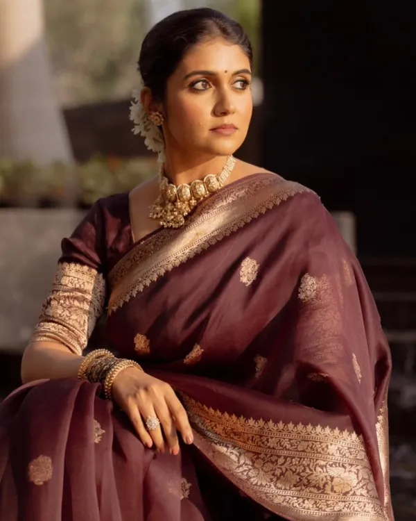 Brown_Color_Top_Tier_Soft_Banarasi_Silk_Saree_with_Classy_Blouse_Piece