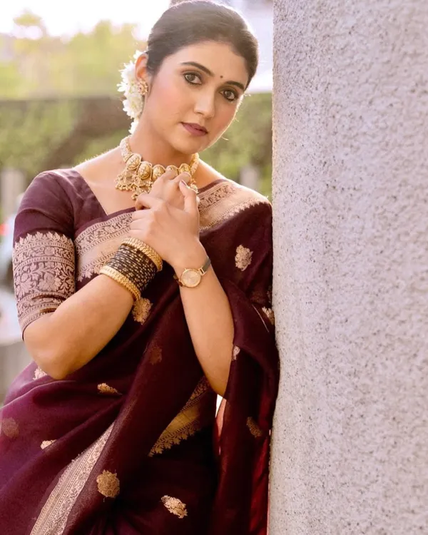 Brown_Color_Top_Tier_Soft_Banarasi_Silk_Saree_with_Classy_Blouse_Piece