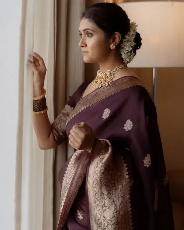 Brown_Color_Top_Tier_Soft_Banarasi_Silk_Saree_with_Classy_Blouse_Piece
