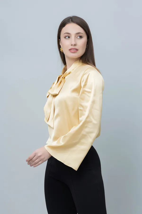 Casual_Satin_Top_For_Women