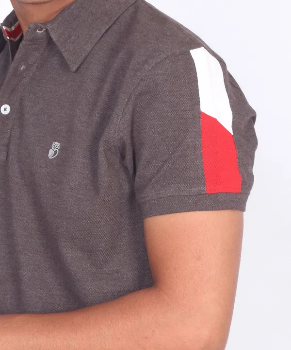 Charcoal_Regular_Fit_Polo_T-Shirt_For_Men