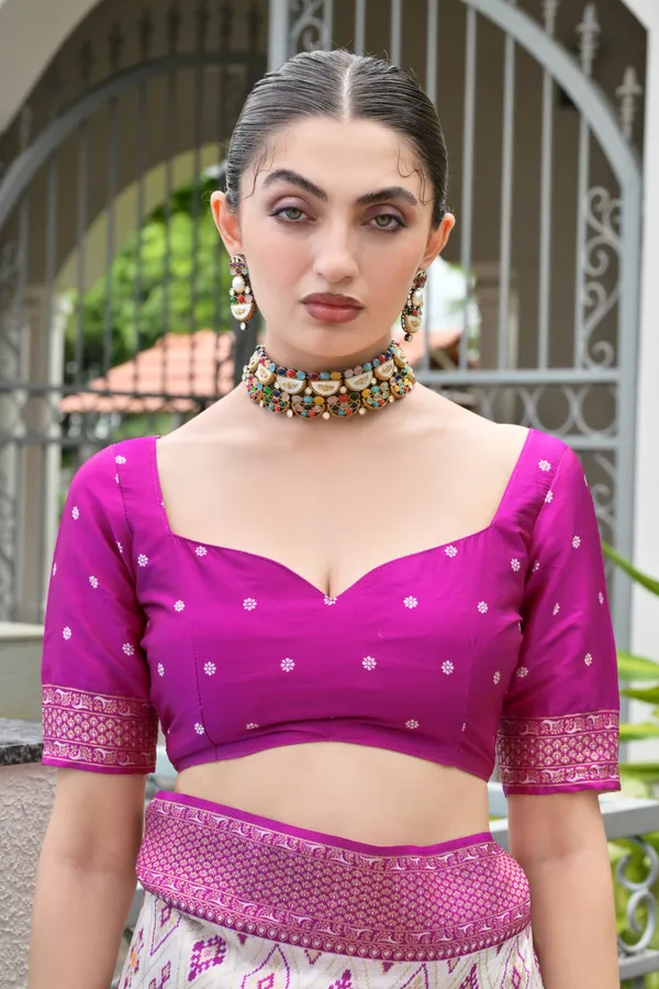 Meenakari_Thread_Woven_Banarasi_Silk_Patola_Saree_with_Blouse