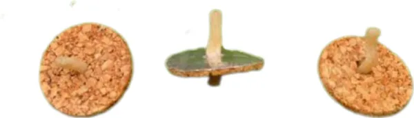 Silver_Round_Magic_Floating_Tealight_Candles_For_Pooja_Decoration_(Pack_Of_100_|_2_Cm_Dia)_(Pack_Of_100)