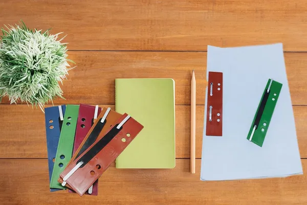 Multicolor_Plastic_Clipper_Organiser_For_Documents_Paper_Cerificates_(Pack_Of_10)_(Pack_Of_10)