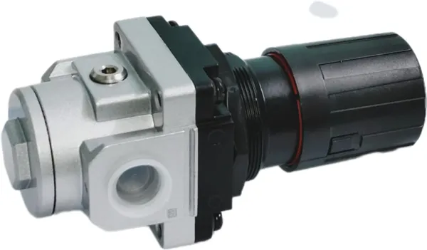 Black_Accurate_Precise_Durable_Pneumatic_Control_High_Pressure_Device_(R1_Series,10_Bar_R15634)_(0.25_Inch)