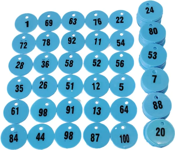 Blue_Plastic_Number_Token_Coins_With_Hole_For_Shop_Without_Stand_For_Board_Game_(1_-_300_Token)