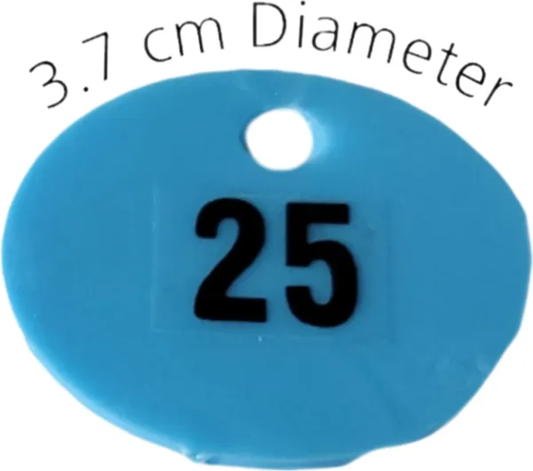 Blue_Plastic_Number_Token_Coins_With_Hole_For_Shop_Without_Stand_For_Board_Game_(1_-_300_Token)