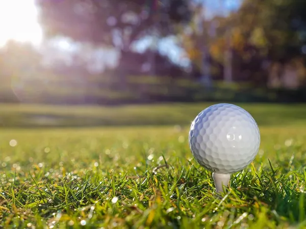 White_Golf_Balls_With_Pressurized_Rubber_Core_Hammer_Ball_And_Surlyn_(Pack_Of_1_|_43_Mm_Dia)