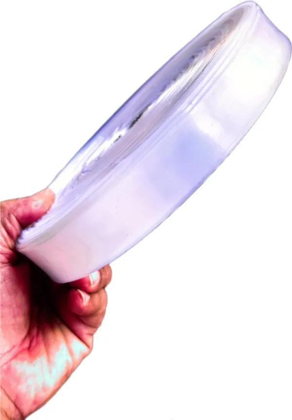 Transparent_Cut_And_Seal_Ld_Plastic_For_Packing_(1_Inch_Width)