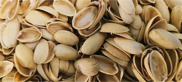 Ivory_Empty_Pista_Shells_For_Craft_Art_Decoration_(1_Kg)