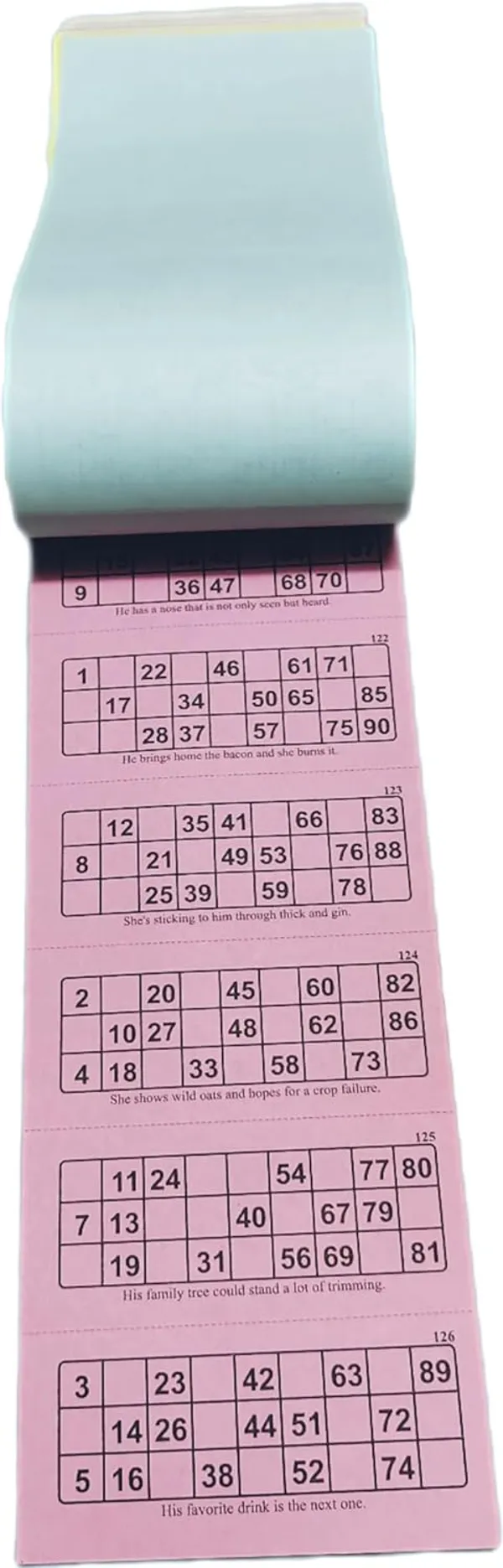 ‎Multicolor_Tambola_Bingo_Booklets_For_Adults_And_Kids_(300_Tickets_Full_Set)_(25_X_15_X_2_Cm)