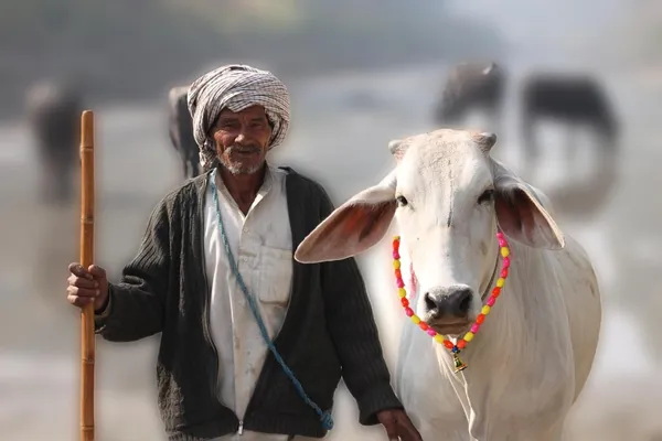 ‎Multicolor_40_Beads_Cow_Ghanti_Mala_Of_Moti_(50_X_4_X_2_Cm)