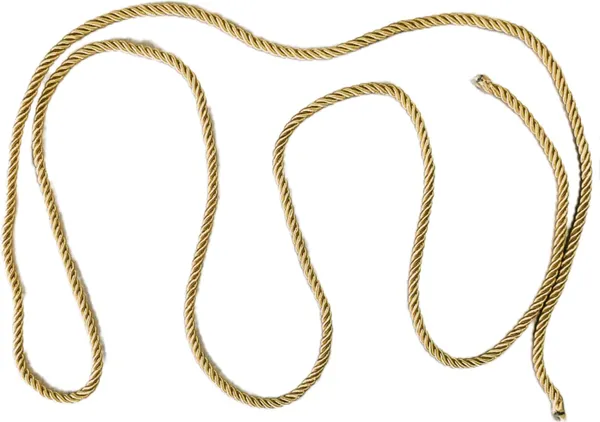 Golden_Twisted_Zari_Embroidery_Thread_Dori_For_Zardosi_Lace_Decoration_&_Diy_Art_Craft_Projects_(10Mm)_(5_Meters)