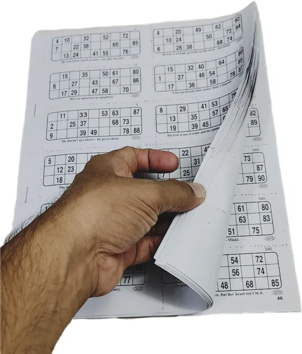 ‎Multicolor_Tambola_Bingo_Booklets_For_Adults_And_Kids_(600_Tickets_With_Number_Token_And_Toothpick)_(25_X_15_X_2_Cm)
