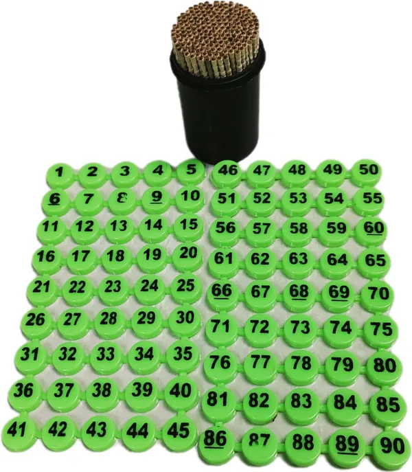 ‎Multicolor_Tambola_Bingo_Booklets_For_Adults_And_Kids_(600_Tickets_With_Number_Token_And_Toothpick)_(25_X_15_X_2_Cm)