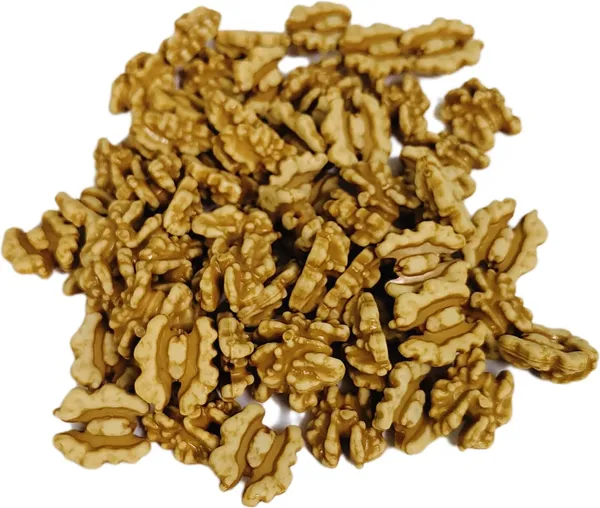 Brown_Artificial_Plastic_Dryfruit_Beads_For_Art_Craft_Decoration_Jewellery_Bracelet_Making_(Walnut)_(Pack_Of_100)_(250_Grams)