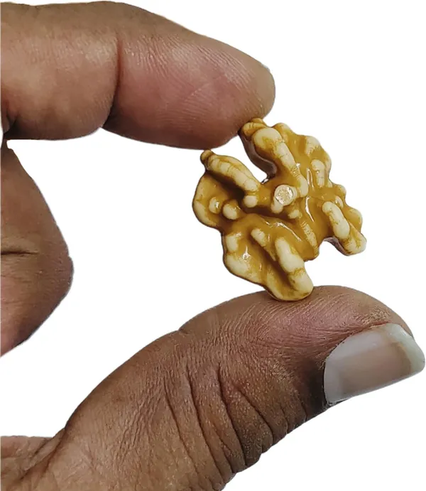 Brown_Artificial_Plastic_Dryfruit_Beads_For_Art_Craft_Decoration_Jewellery_Bracelet_Making_(Walnut)_(Pack_Of_100)_(250_Grams)