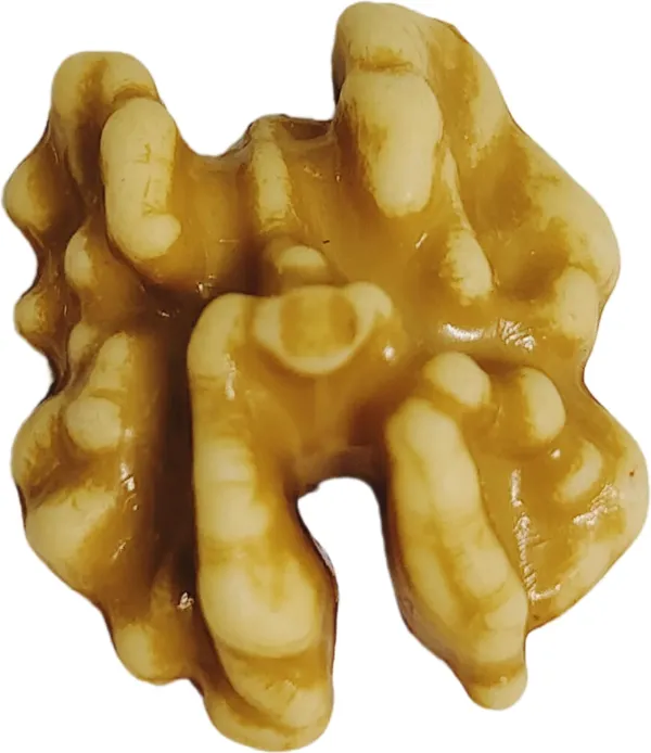 Brown_Artificial_Plastic_Dryfruit_Beads_For_Art_Craft_Decoration_Jewellery_Bracelet_Making_(Walnut)_(Pack_Of_100)_(250_Grams)