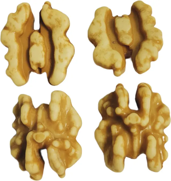 Brown_Artificial_Plastic_Dryfruit_Beads_For_Art_Craft_Decoration_Jewellery_Bracelet_Making_(Walnut)_(Pack_Of_100)_(250_Grams)