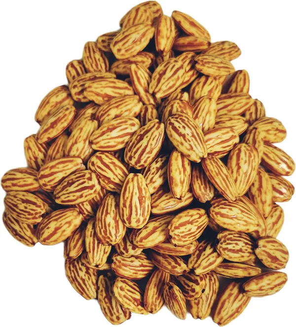 Brown_Artificial_Plastic_Dryfruit_Beads_For_Art_Craft_Decoration_Jewellery_Bracelet_Making_(Almond_Badam)_(Pack_Of_100)_(250_Gram)