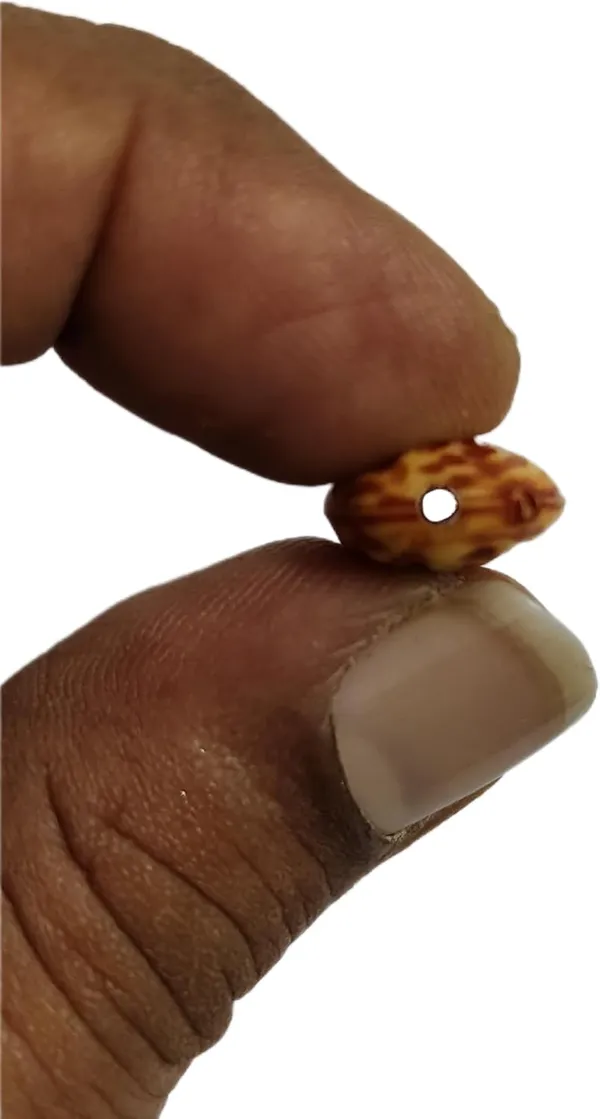 Brown_Artificial_Plastic_Dryfruit_Beads_For_Art_Craft_Decoration_Jewellery_Bracelet_Making_(Almond_Badam)_(Pack_Of_100)_(250_Gram)