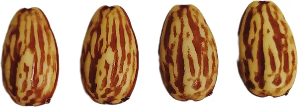 Brown_Artificial_Plastic_Dryfruit_Beads_For_Art_Craft_Decoration_Jewellery_Bracelet_Making_(Almond_Badam)_(Pack_Of_100)_(250_Gram)