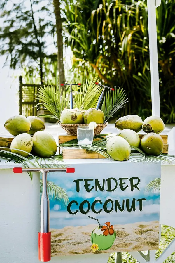 Silver_Red_Stainless_Steel_Coconut_Opener_Manual_Hand_Machine_(15_X_11_Cm)