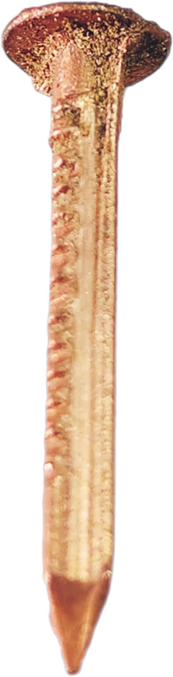 Reddish_Brown_Tamba_Nails_For_Pooja_(Pack_Of_13)_(3_Cm)