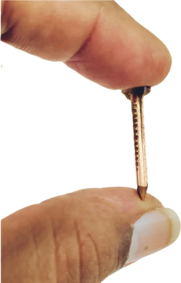 Reddish_Brown_Tamba_Nails_For_Pooja_(Pack_Of_13)_(3_Cm)