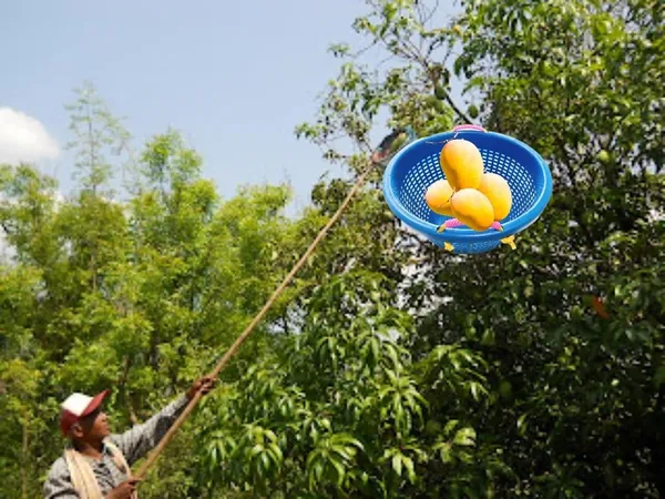 Multicolor_Plastic_Fishing_Basket_Holder
