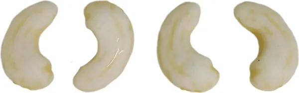 Cream_Artificial_Plastic_Dryfruit_Beads_For_Art_Craft_Decoration_Jewellery_Bracelet_Making_(Cashew_)_(Pack_Of_100)_(250_Gram)