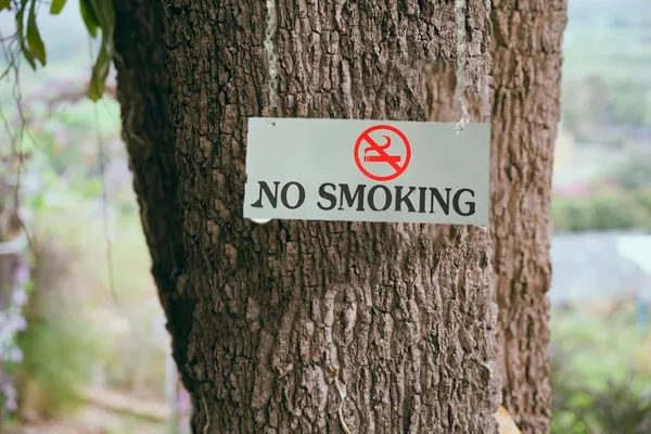 Silver_Metal_Hanging_No_Smoking_Sign_Board_For_Shop_(31L_X13_W_Cms)