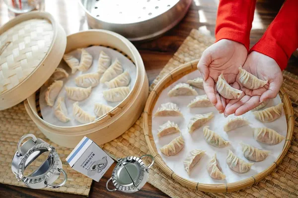 Silver_Stainless_Steel_Dumpling_Maker_Sheets_Mould_Machine_(Small_|_9_X_7_X_3_Cm)