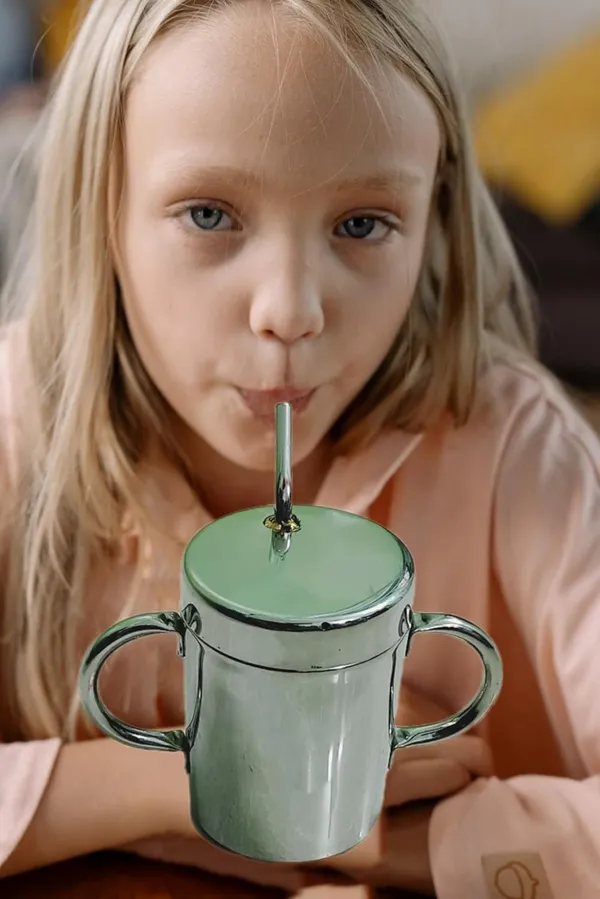 Silver_Stainless_Steel_Straw_Glass_With_Lid_And_Handle