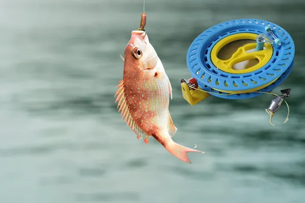 Multicolor_Plastic_Mechanical_Rotating_Manual_Spinning_Fishing_Line_Hand_Caster_Reel_Wheel_With_Ball_Bearings_(16_Cm_Dia)_(With_100_Meters_0.70_Mm_Lines)_(100_Meter)