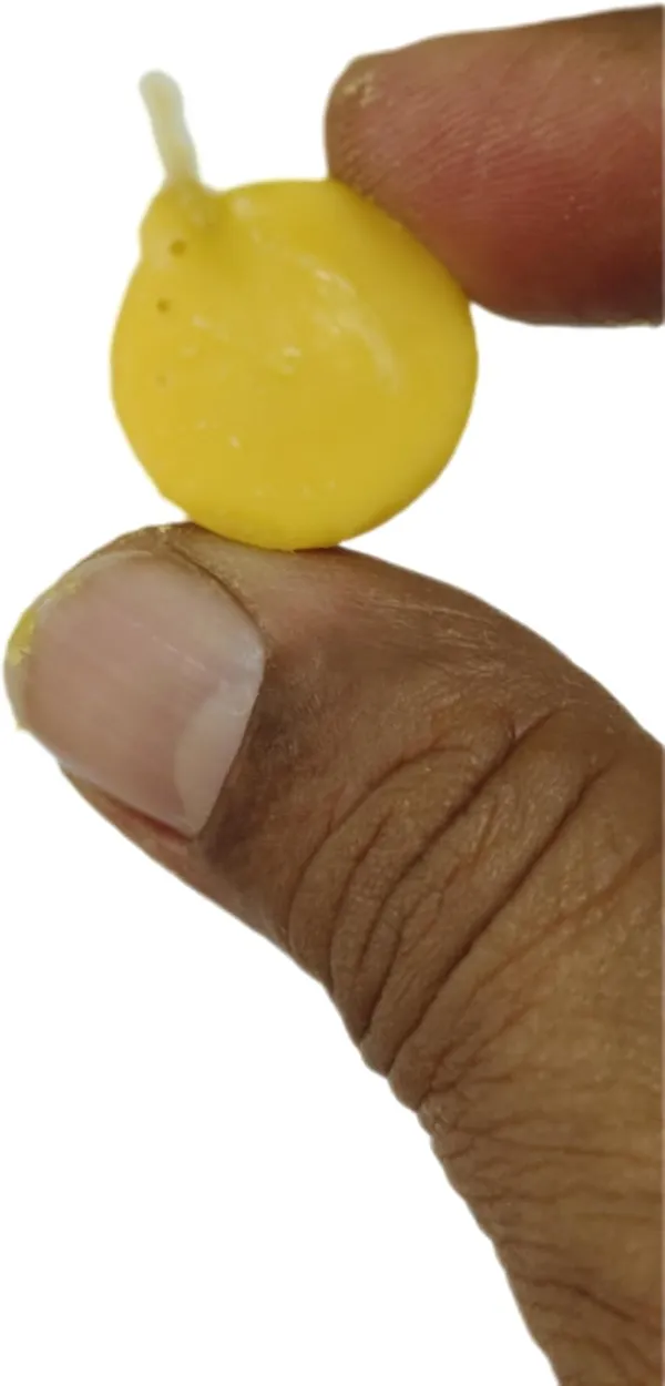 Yellow_Cotton_Wicks_Ghee_Diya_For_Puja_(1001_Pcs_|_2_Cm_Dia)_(Pack_Of_1001)