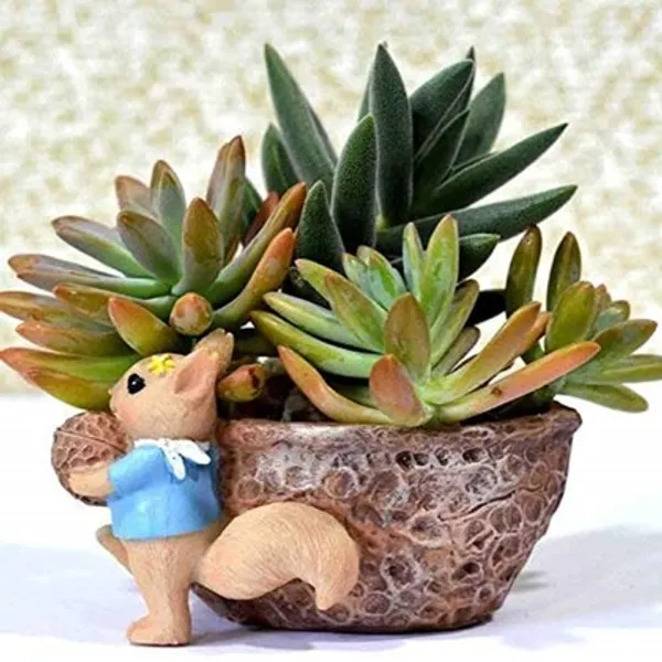 Multicolor_Cute_Squirrel_Pot_Succulent_Pot_For_Home_&_Decoration